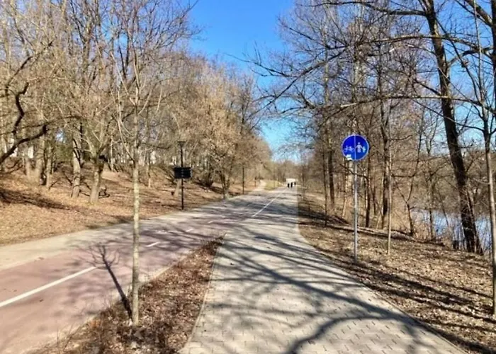 Central W/free Parking & Netflix *