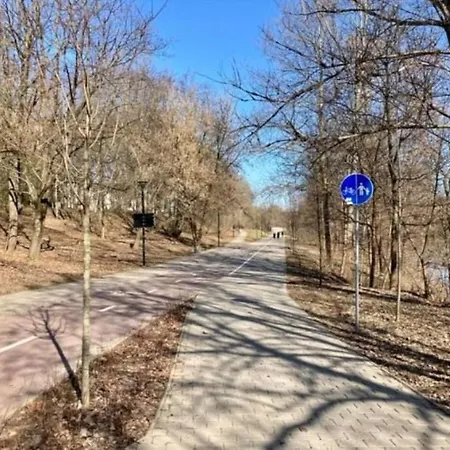 Central W/free Parking & Netflix *